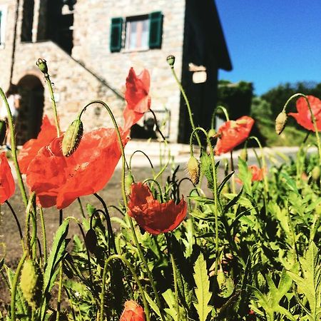 Agriturismo Angio Nel Cere Bed and Breakfast Bracelli Exterior foto