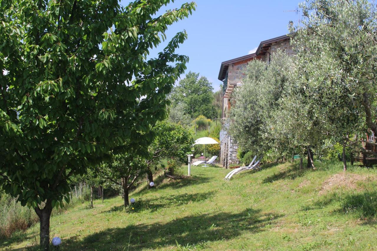 Agriturismo Angio Nel Cere Bed and Breakfast Bracelli Exterior foto