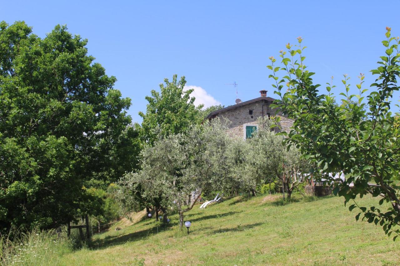 Agriturismo Angio Nel Cere Bracelli Exterior foto