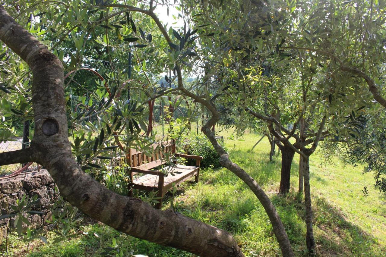 Agriturismo Angio Nel Cere Bracelli Exterior foto
