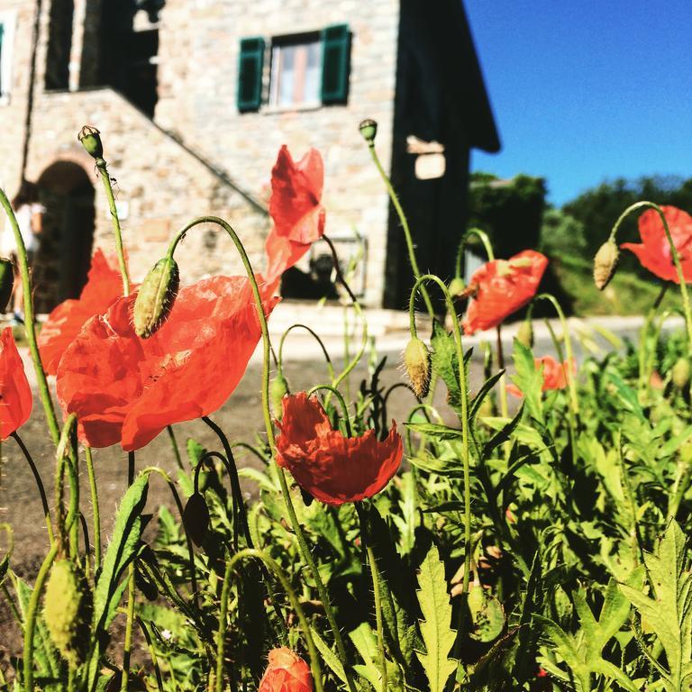 Agriturismo Angio Nel Cere Bed and Breakfast Bracelli Exterior foto