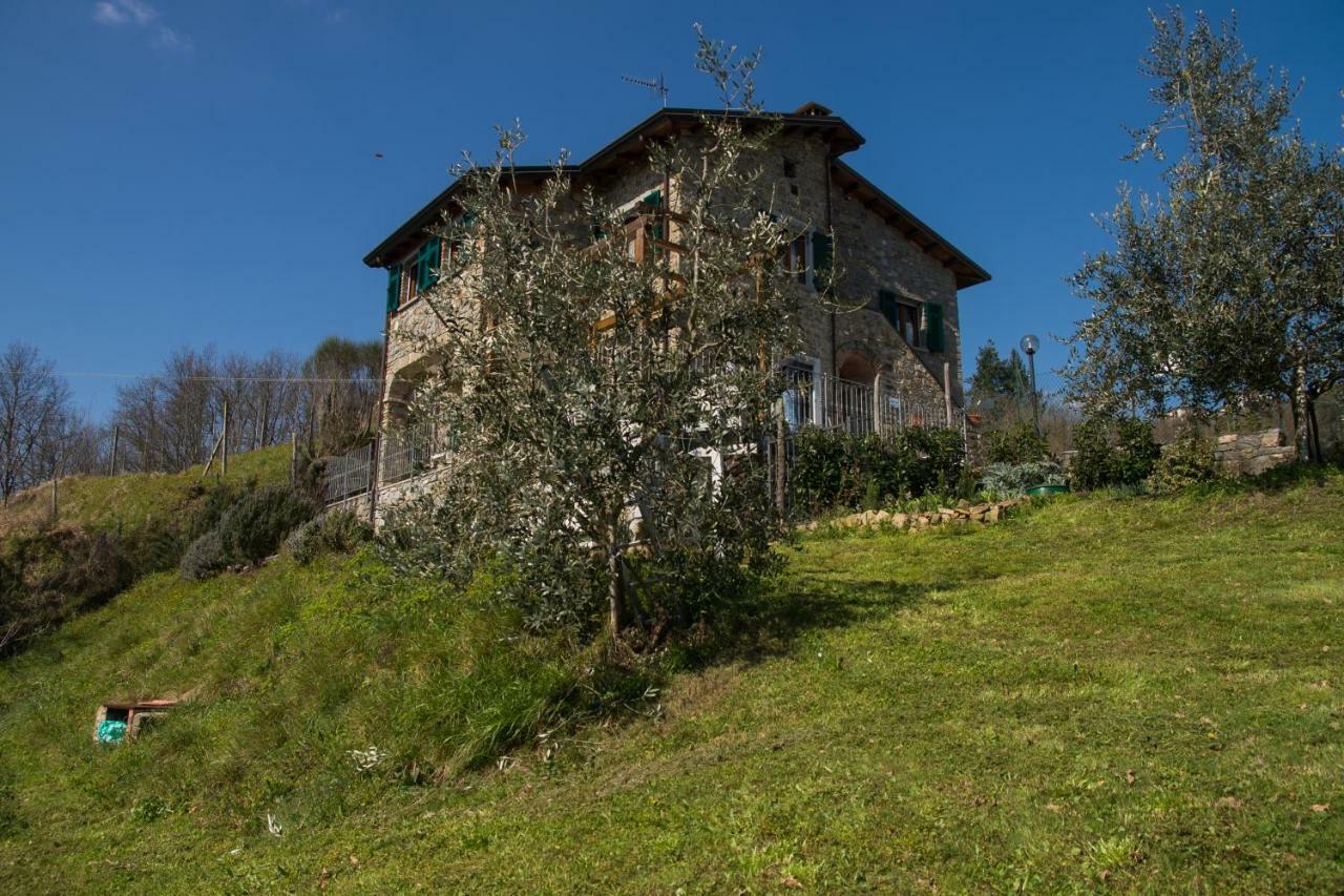 Agriturismo Angio Nel Cere Bed and Breakfast Bracelli Exterior foto