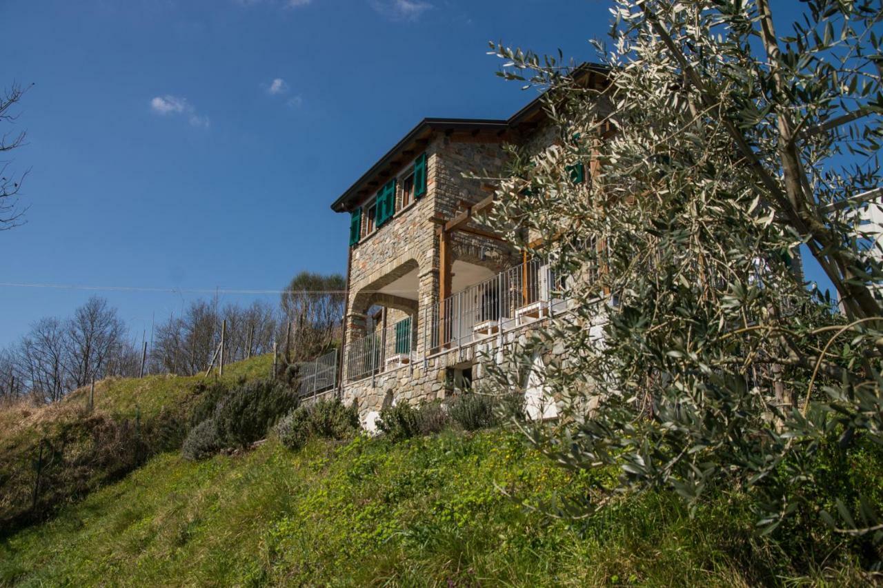 Agriturismo Angio Nel Cere Bed and Breakfast Bracelli Exterior foto