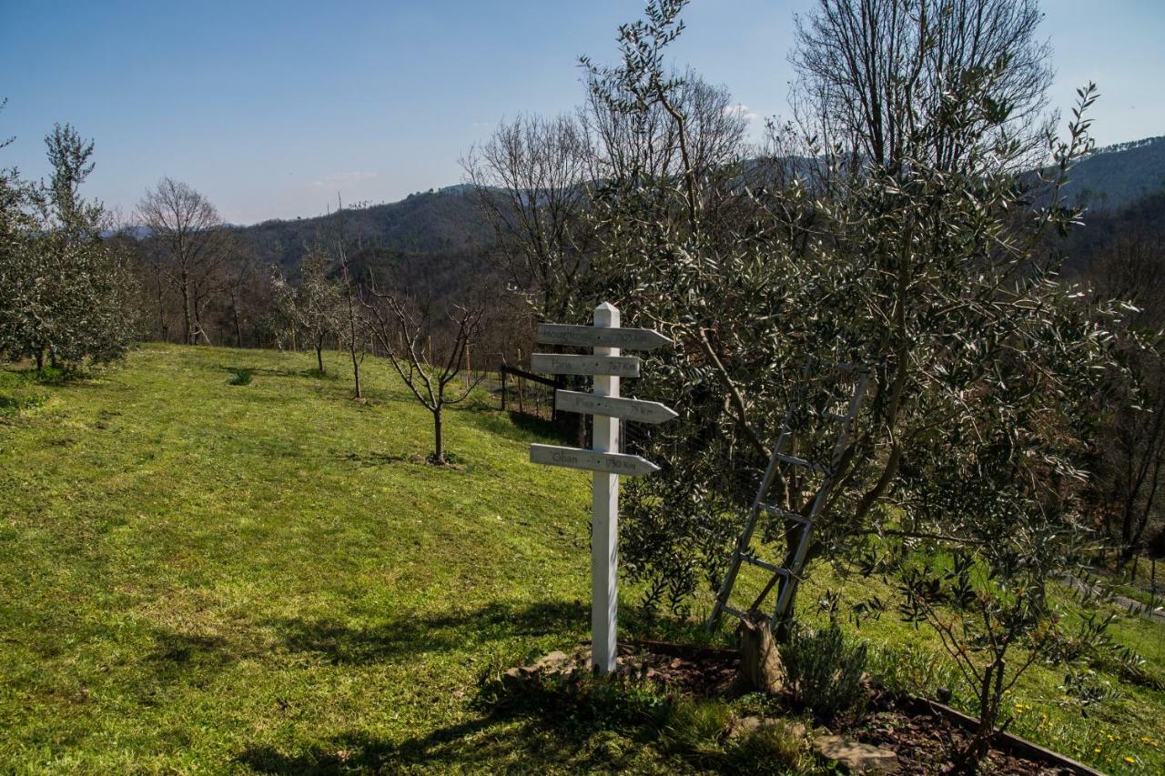 Agriturismo Angio Nel Cere Bed and Breakfast Bracelli Exterior foto